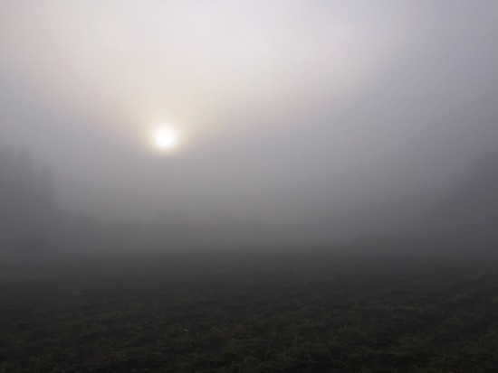 今日の信州・黒姫20151015～初霜・そして濃霧～1
