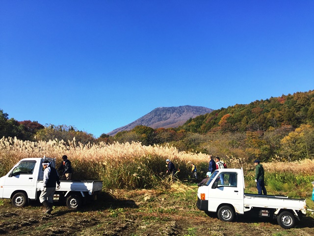 どんど焼きかや狩り20151025-1