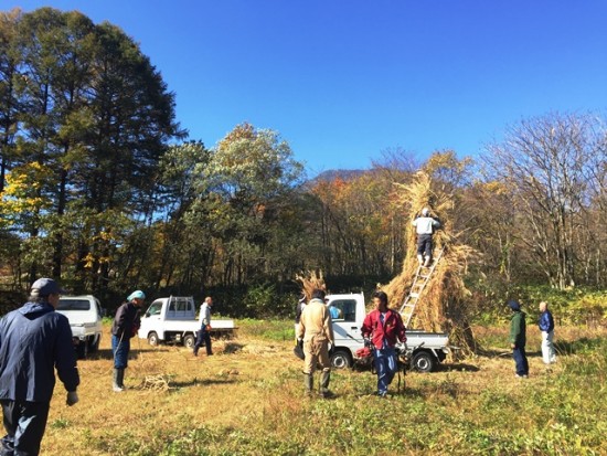 どんど焼きかや狩り20151025-3