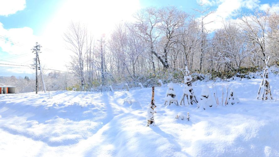 今朝の積雪は約15cm。20191130-1