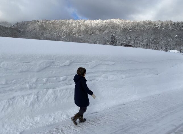 道路脇の雪は人の背の高さを有に超えています