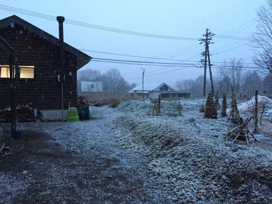 午後に初雪が降り始めました20151125