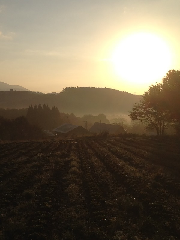 信州・黒姫今日の風景20131028早朝1