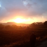 今朝のジョギング風景20131106