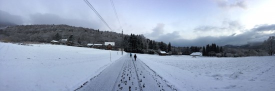 今日の風景20151218～薄っすらと雪が積もりました～