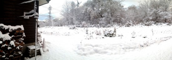 初雪から一夜明けて20131112-1