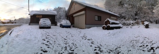 初雪から一夜明けて20131112-2