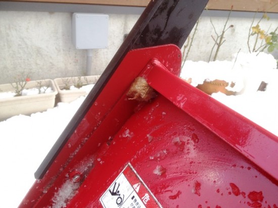 除雪機にカマキリの卵嚢が。。