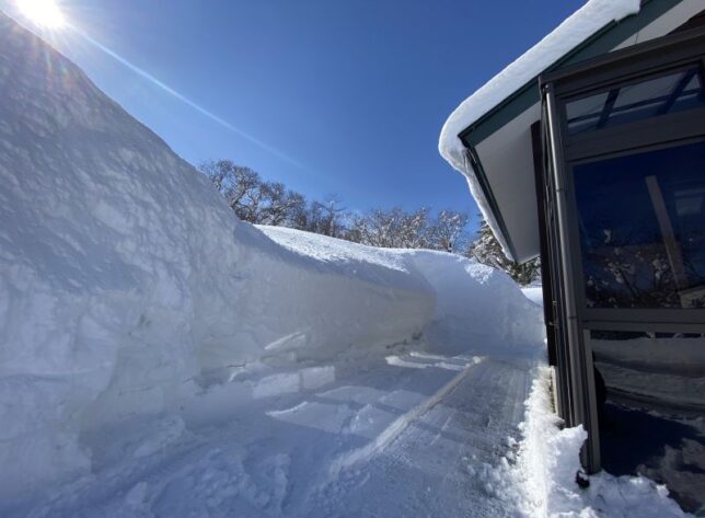 家の周りには城壁のような雪の壁が出来ました1