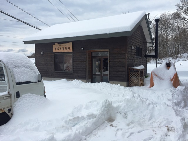 久しぶりに大雪になりました20160130