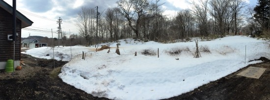 庭・畑の雪が消えるもの時間の問題です20160306