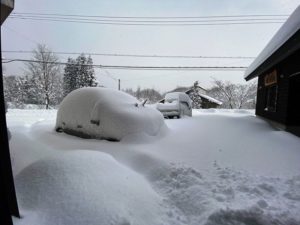 ようやく冬らしくなりました20200211-1