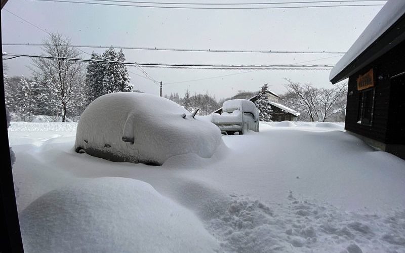 ようやく冬らしくなりました20200211-1