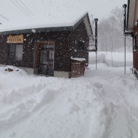 久しぶりの大雪20140205