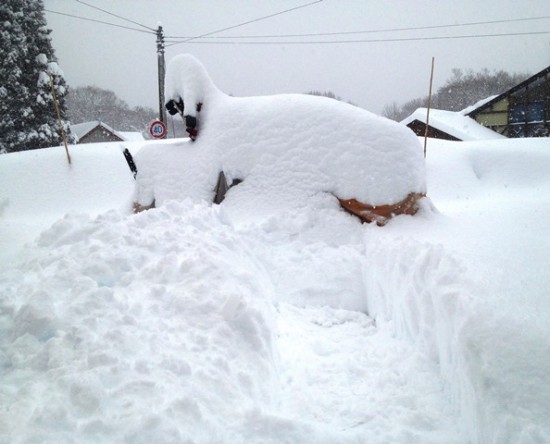 雪に埋もれた除雪機20140215