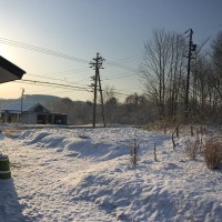 我が家の庭の風景20160412～朝起きたら庭が真っ白になっていてびっくり！