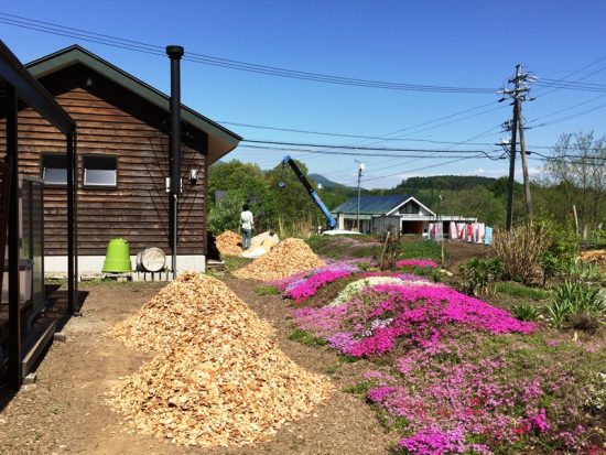 庭に杉のチップを撒きました20160513-1