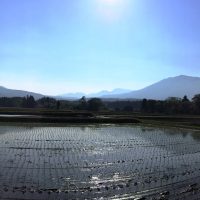 今日の信州・黒姫20160521～田植えの季節に。。～