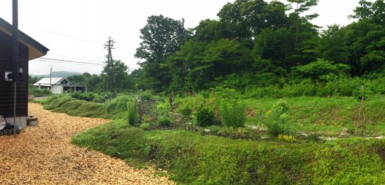 我が家の庭の様子20160629-1