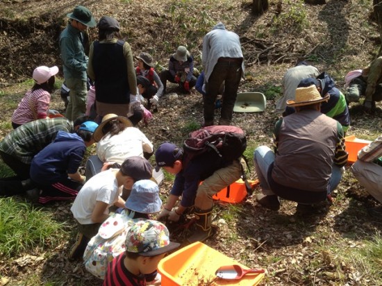 アファンの森見学会・オオハンゴウソウ駆除作業20140427-6