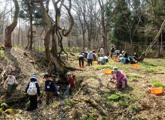 アファンの森見学会・オオハンゴウソウ駆除作業20140427-5