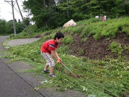 我が家の敷地の草刈り20140608-3