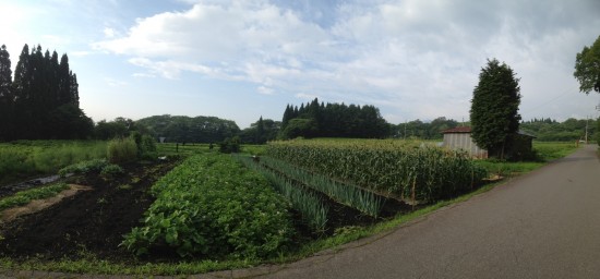 今日の信州・黒姫の風景20140716