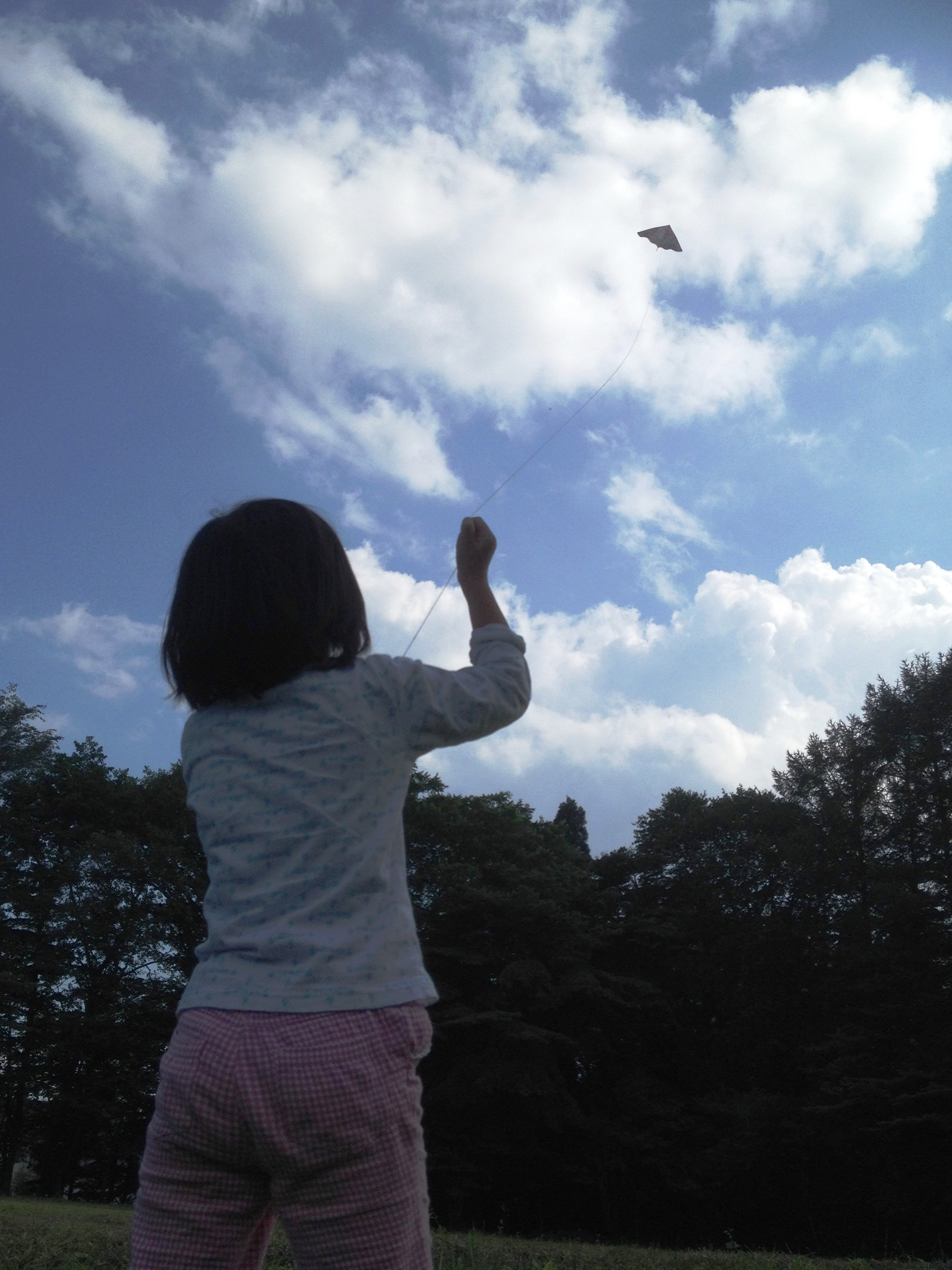 凧揚げ20140810