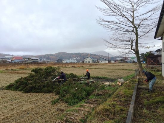 4人で搬出作業。伐採した木があっという間に片付いていきます20161117