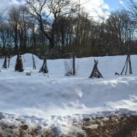 今日の信州・黒姫20161207～今朝は10ｃｍの積雪・大型一枚板の加工が進んでいます～