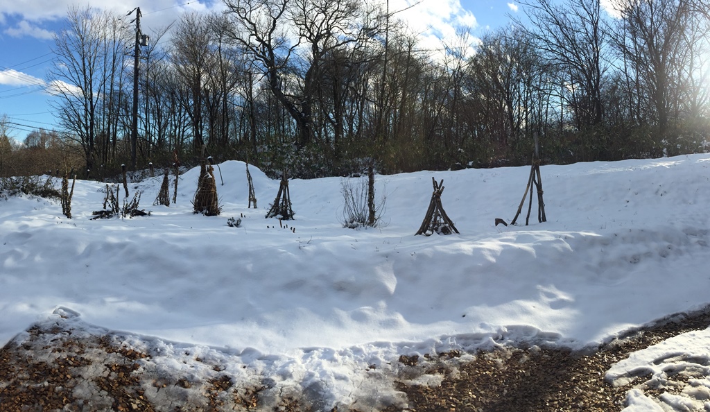 今日の信州・黒姫20161207～我が家の庭には今朝、10ｃｍの積雪がありました～