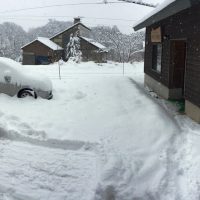 昨日から雪が降り続き。。除雪機初稼働20161211