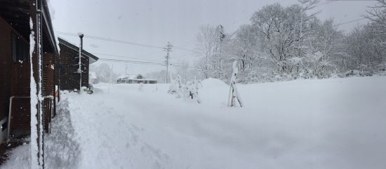 我が家の庭も再び白銀の世界に戻りました20161224