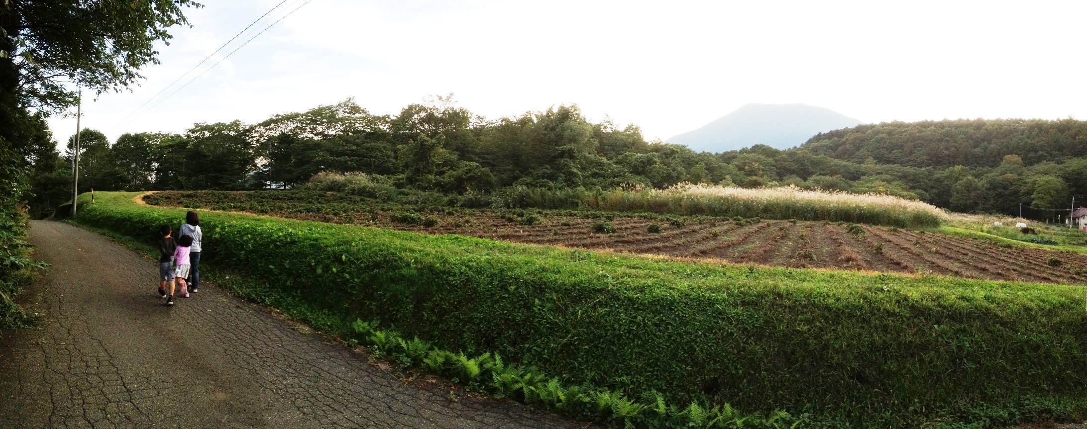 黒姫高原散歩風景