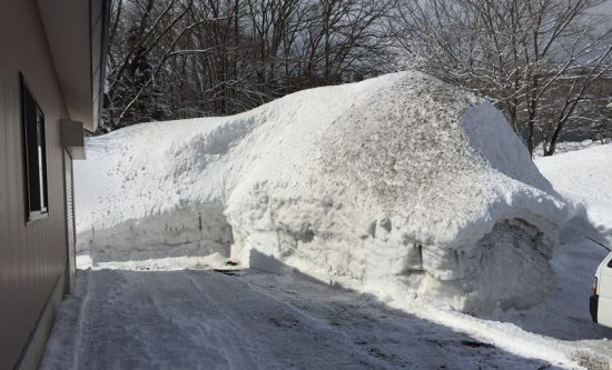 今日の信州・黒姫20170219～積雪10ｃｍの朝～3