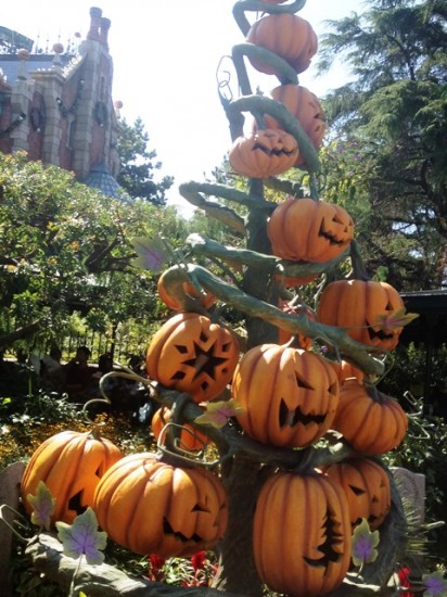 東京ディズニーランドへ20140928-29-4