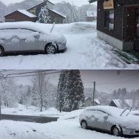 今日の信州・黒姫20170324～昨日より雪が降り続いています～