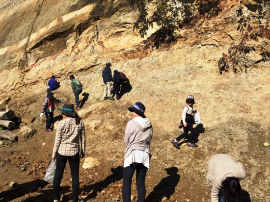 「貝化石採集会」に参加20141025-5