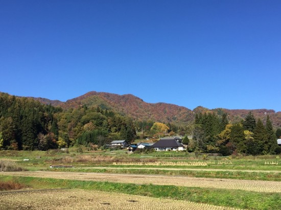 「貝化石採集会」に参加20141025-2