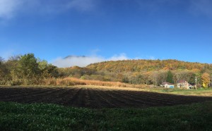 信州・黒姫高原今朝の散歩の風景20141030-2