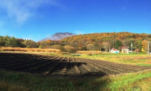 信州・黒姫高原今朝の散歩の風景20141030-3