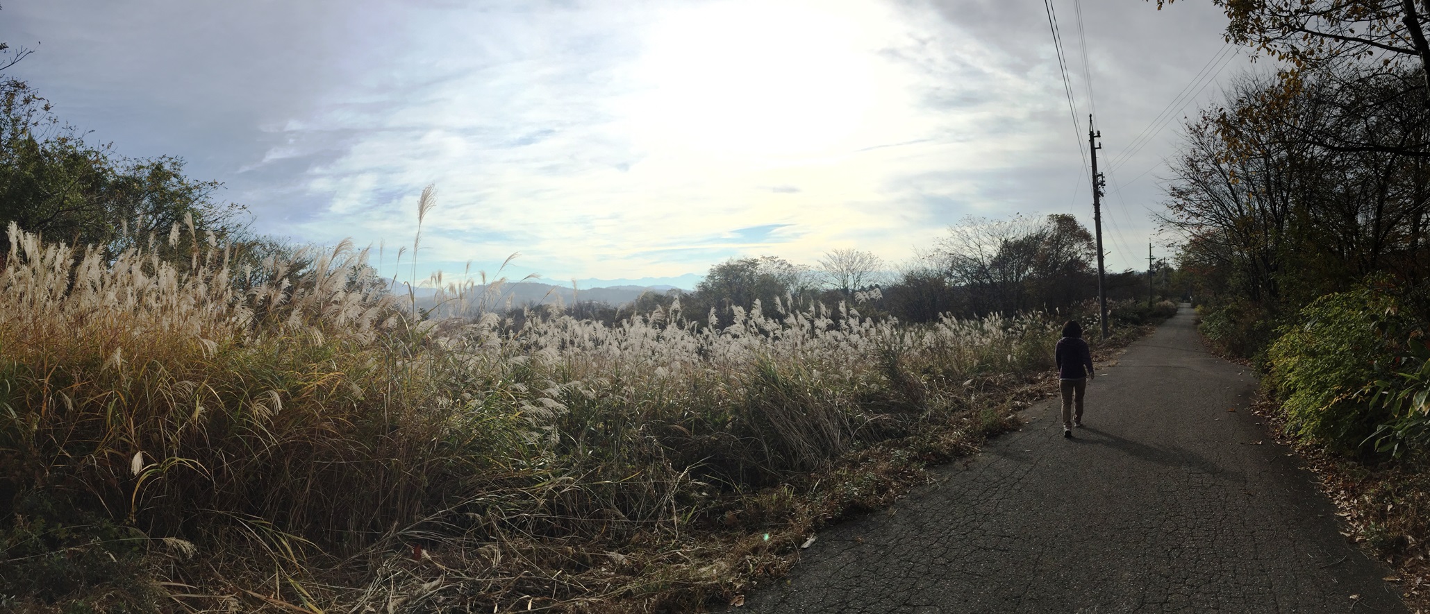 信州・黒姫高原今朝の散歩の風景20141030-1