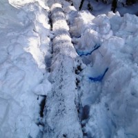 雪の下より楢の丸太を掘り出しました
