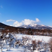 峠は越えていたようです(^^)