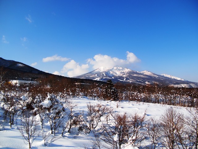 峠は越えていたようです(^^)