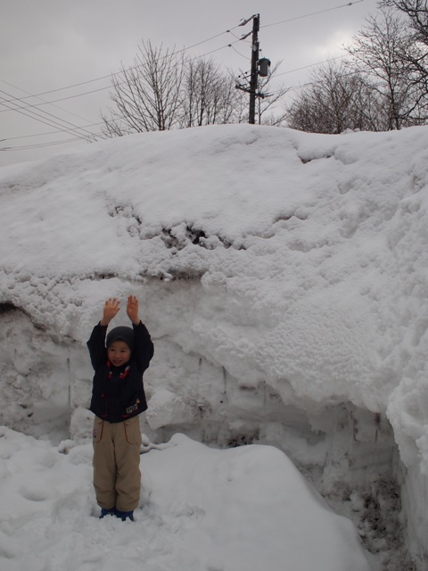 ようやく畑の雪が解けました