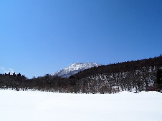 散歩道での一枚