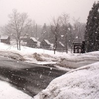 大粒の雪が。。。！