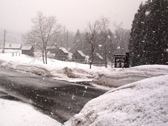 大粒の雪が。。。！20120328