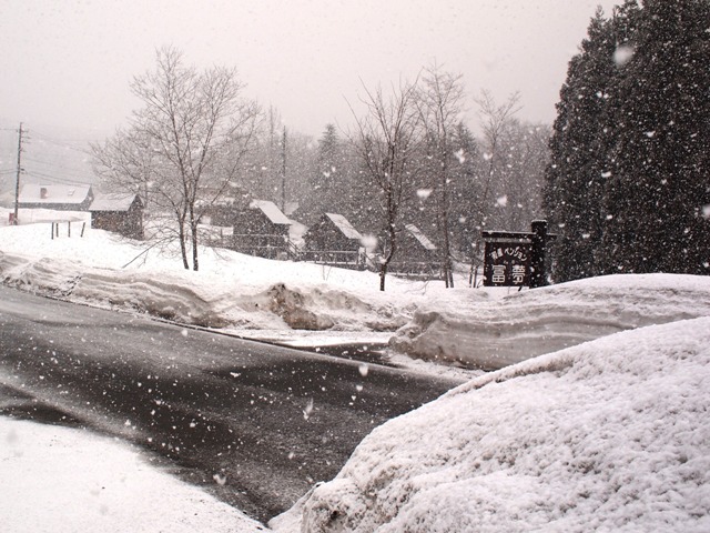 大粒の雪が。。。！